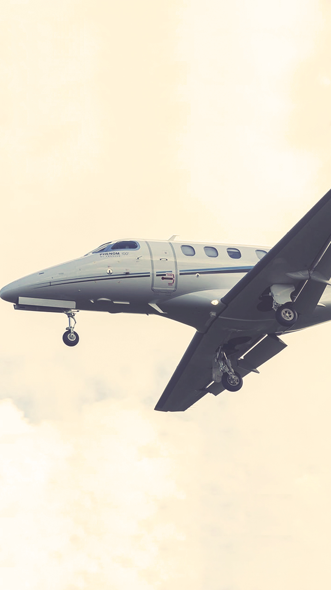 aeronave-e1000-gx-avantto